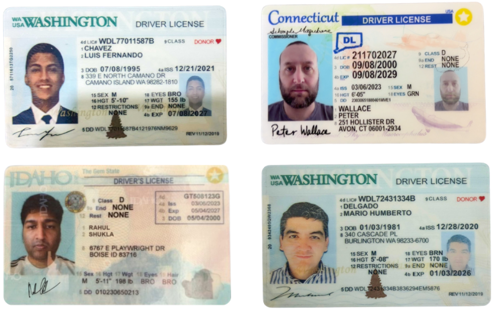 Deepfake examples with legal id's